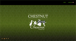 Desktop Screenshot of chestnut.fr